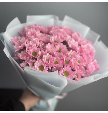 Сантини 9 шт